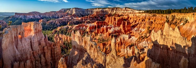 West Coast, USA image 5