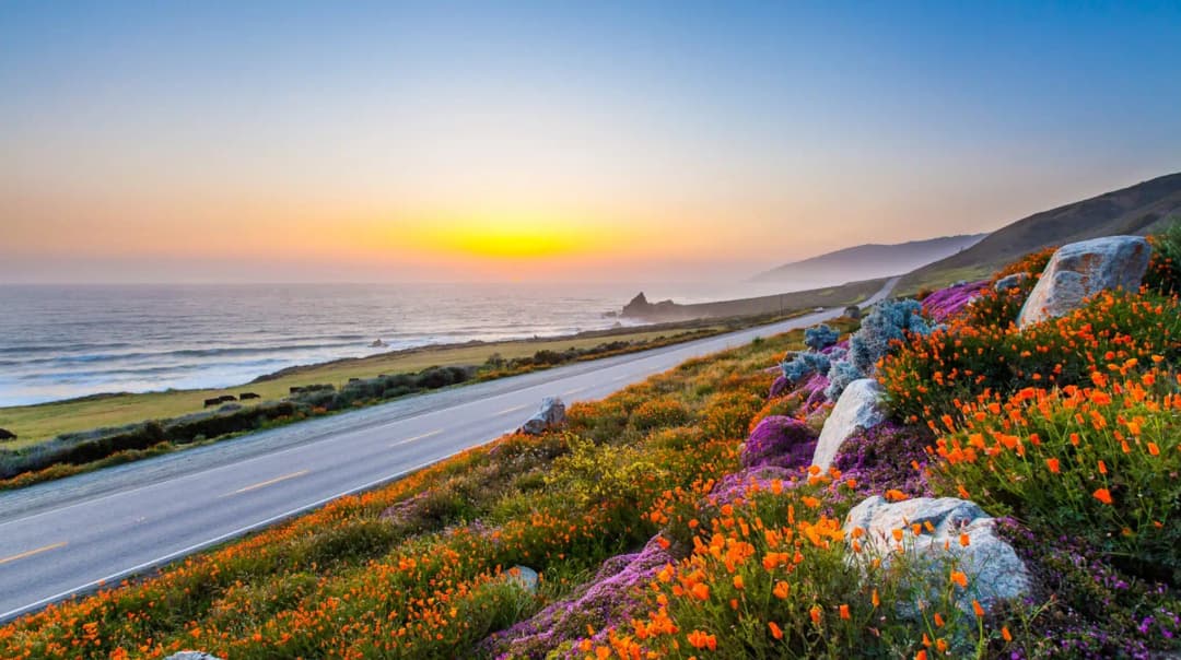 West Coast, USA image 8